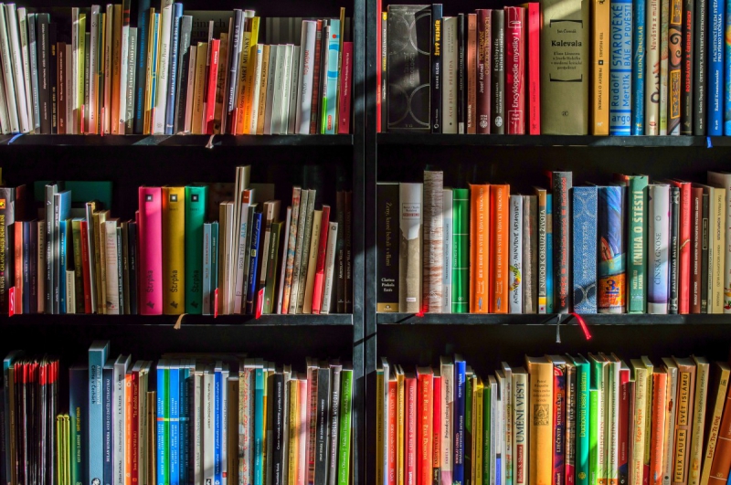magasin-VALLAURIS-min_books_bookstore_book_reading_shop_writer_sale_books_read-822866